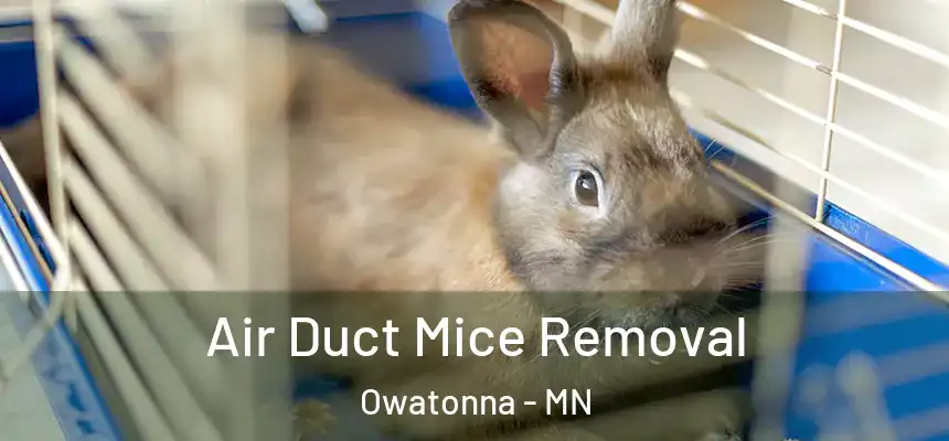 Air Duct Mice Removal Owatonna - MN