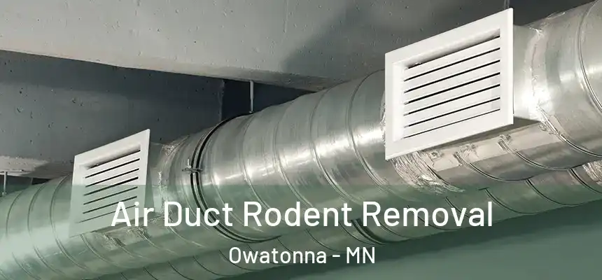  Air Duct Rodent Removal Owatonna - MN