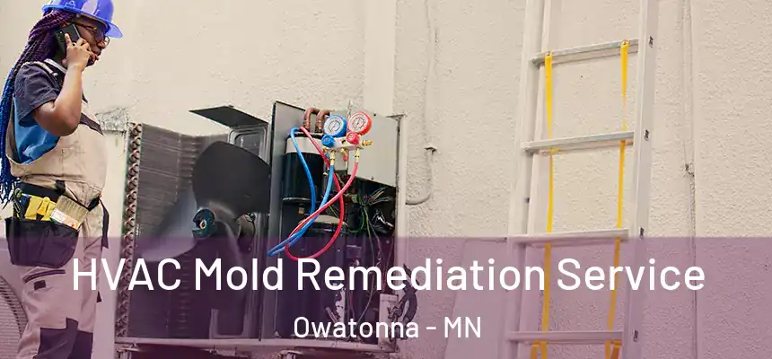 HVAC Mold Remediation Service Owatonna - MN