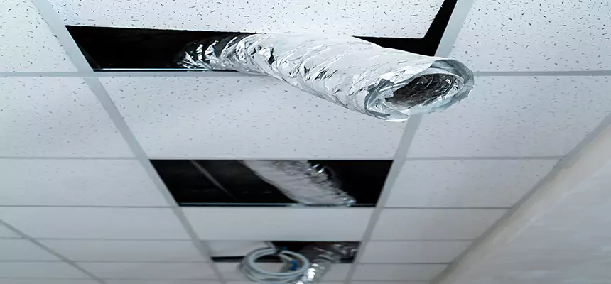 Affordable HVAC Sanitizing After Pest Removal in Owatonna