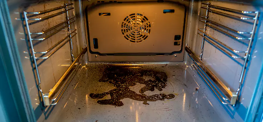 Our Dryer Vent Mold Cleaning Services in Owatonna, MN