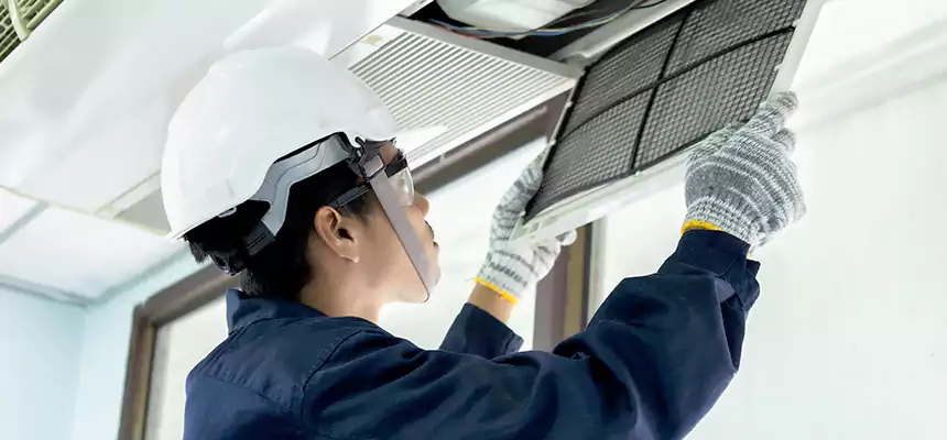 Our Mold & Mildew Removal from Air Ducts Services in Owatonna, MN