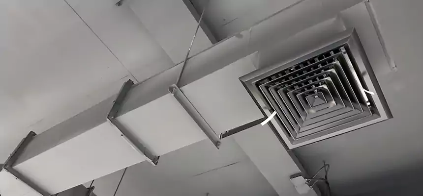 Our Rodent Droppings In Vents Services in Owatonna, MN