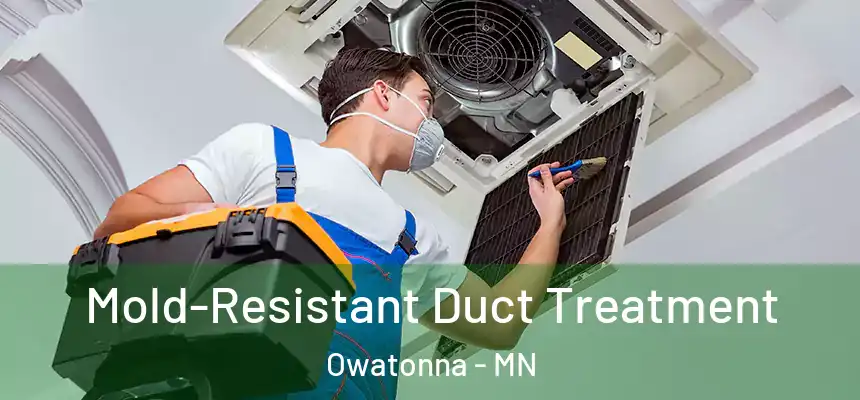  Mold-Resistant Duct Treatment Owatonna - MN