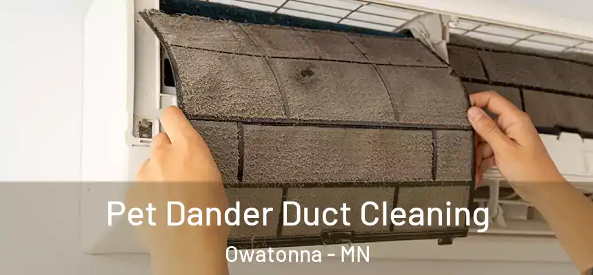 Pet Dander Duct Cleaning Owatonna - MN