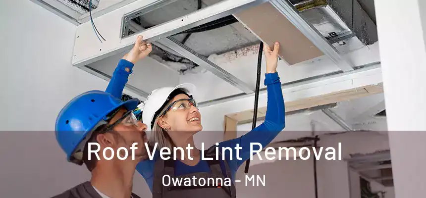 Roof Vent Lint Removal Owatonna - MN
