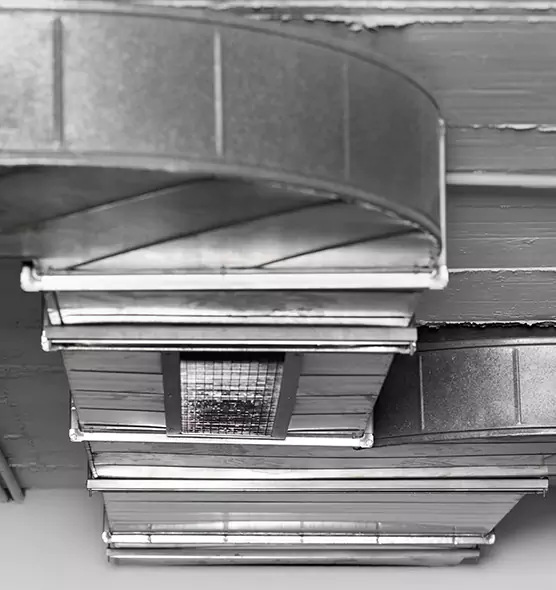 Professional Air Duct Pest Removal in Owatonna, MN