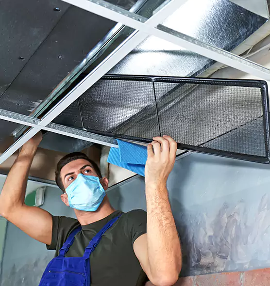 Professional Air Duct Pollen Cleaning in Owatonna, MN