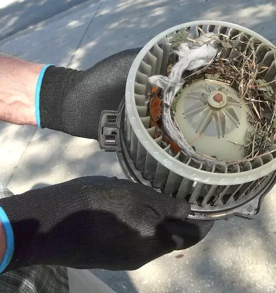 About Air Duct Rat Removal in Owatonna, MN