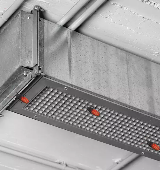 Affordable Insect Removal from Air Ducts in Owatonna, MN