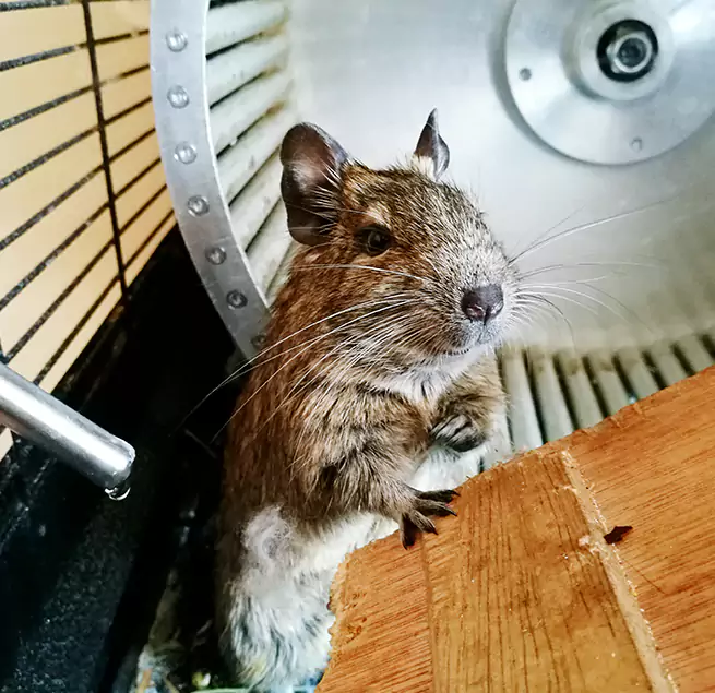 Why Homeowners & Businesses Trust Us Owatonna, MN